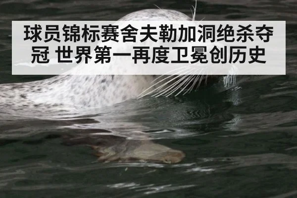 球员锦标赛舍夫勒加洞绝杀夺冠 世界第一再度卫冕创历史